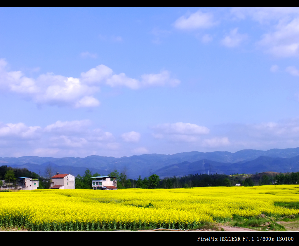 天蓝云白山青水绿草青花黄——望溪唐家坝