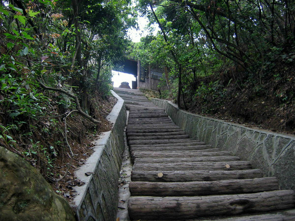 在美景中游走——张家界旅游行程《费用+精美PP》