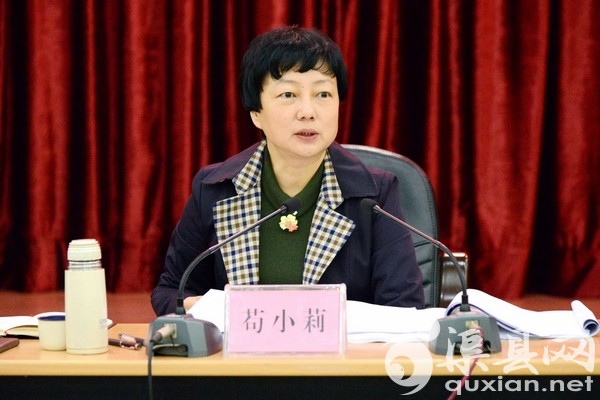 渠县召开“十三五”规划纲要征求意见座谈会