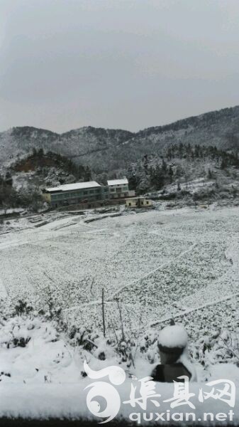 卷洞大学雪纷飞！