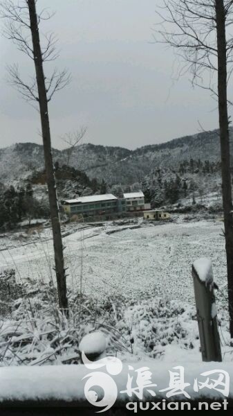 卷洞大学雪纷飞！