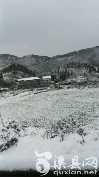 卷洞大学雪纷飞！