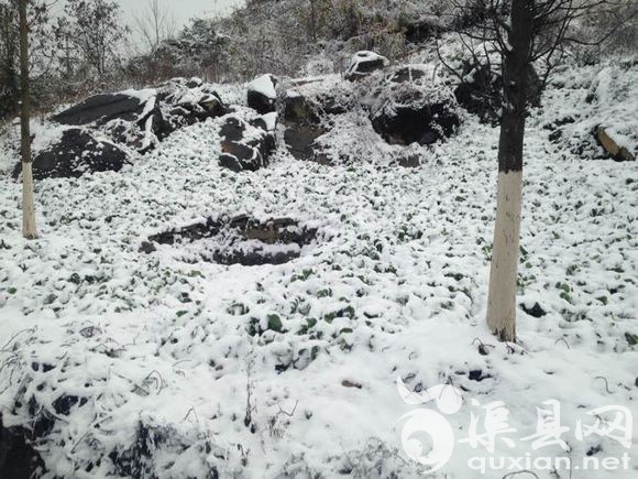 卷洞山堆雪人。原谅哥是搞艺术的