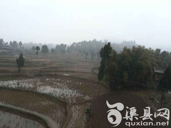 今年的第一场雪 下得好大