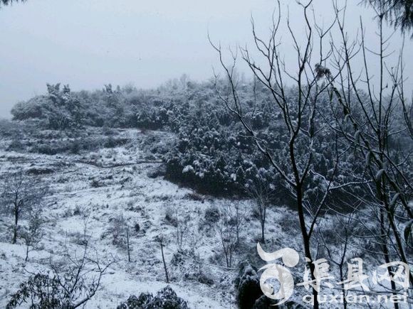 【都再说下雪】我知道我家这肯定没你们那那么好看，壮哉！