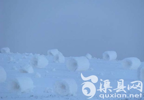 美国现罕见“雪卷”奇景 外形精致如棉花糖(图)