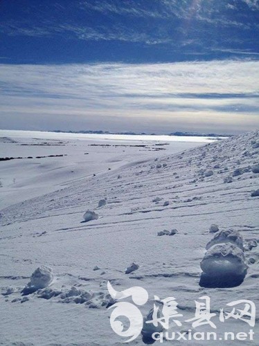 一团团“雪卷”排列在地上，看上去好似棉花糖。