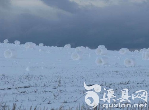 美国现罕见“雪卷”奇景 外形精致如棉花糖(图)