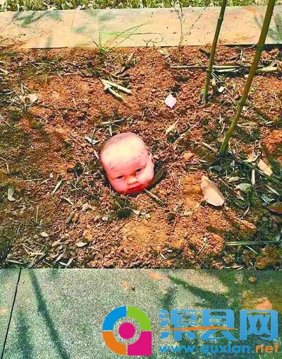 湖北美院花坛长出婴儿吓坏女生 系艺术作品(图)