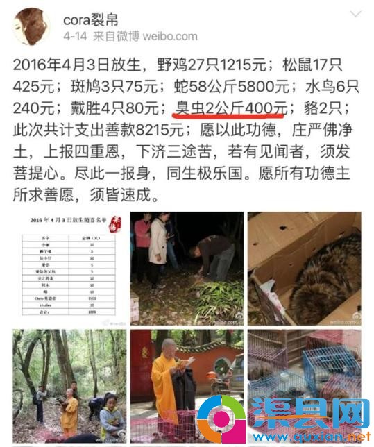 而在她“放生”的物种中还有过58公斤的蛇和2公斤的臭虫