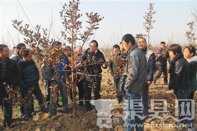 陕西20名职业农民被录取上大学 平均年龄近38岁