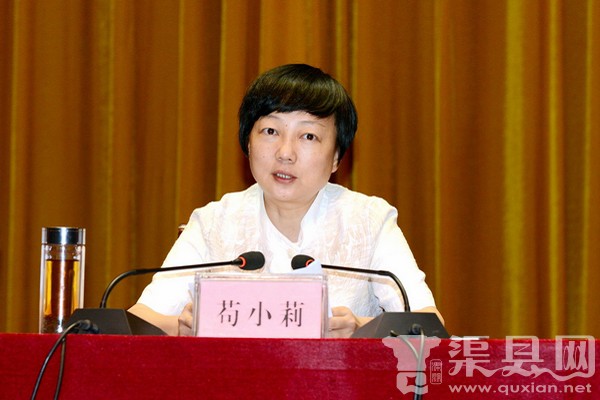 渠县召开县乡换届工作会议