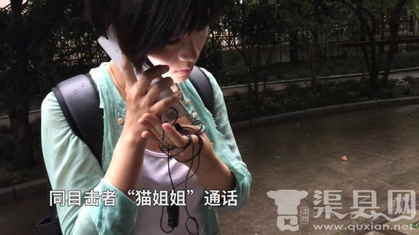 网传上海一男子小区内虐猫 物业：猫多为患