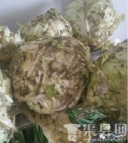 云南一校领导批发发霉烂菜 10倍卖食堂做营养餐