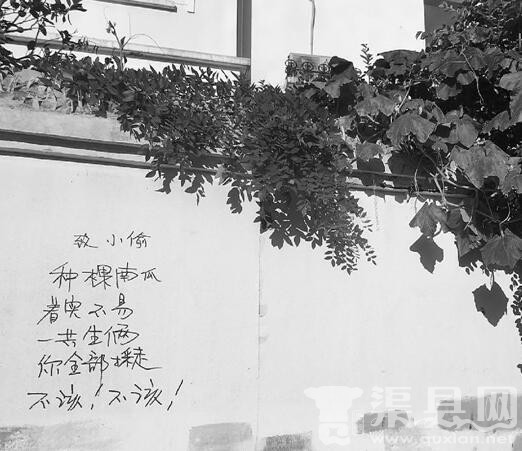 杭州大伯两个南瓜被偷 在墙上写诗《致小偷》