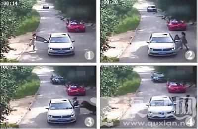 北京老虎伤人细节：女儿下车遭扑咬 母亲施救被咬死