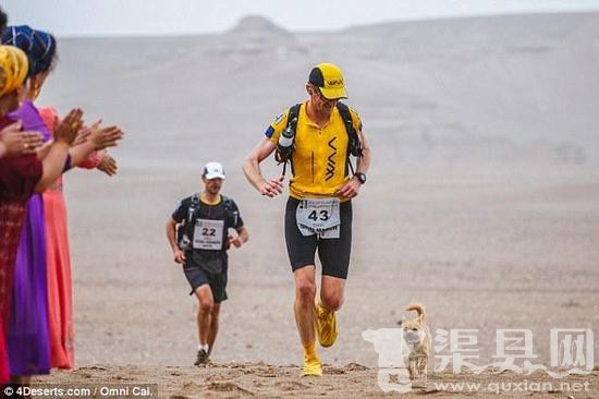 英国男子跑步穿越中国戈壁 流浪狗一路跟随(图)