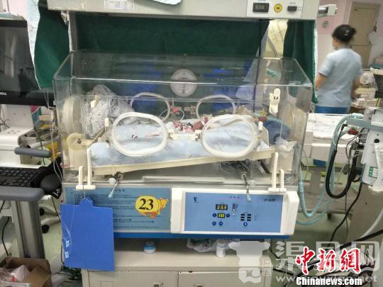图为新生的双胞胎宝宝在保温箱里接受治疗。重庆红会供图 摄
