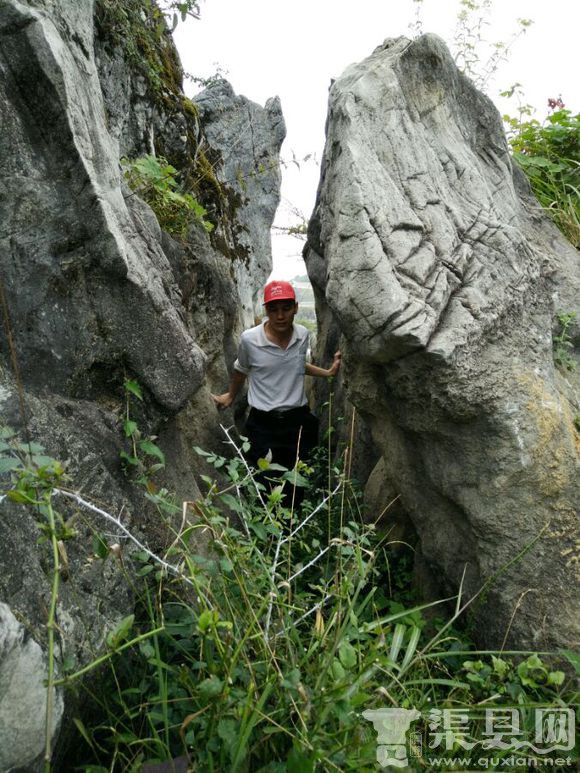 石柱千野草场