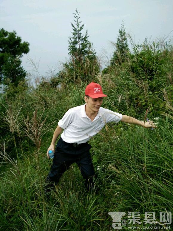 石柱千野草场