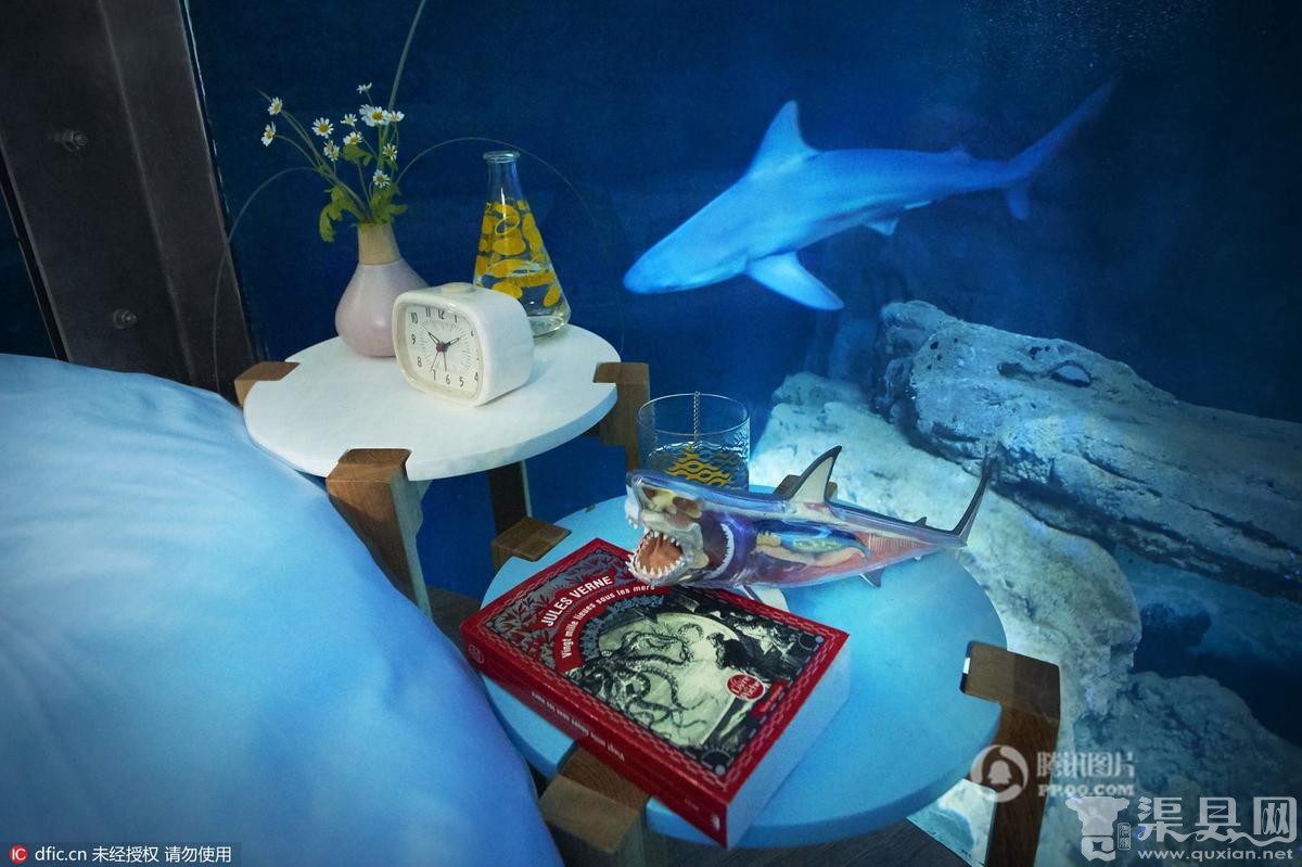 美国短租网站推水下住宿:可与鲨鱼“同床共枕”