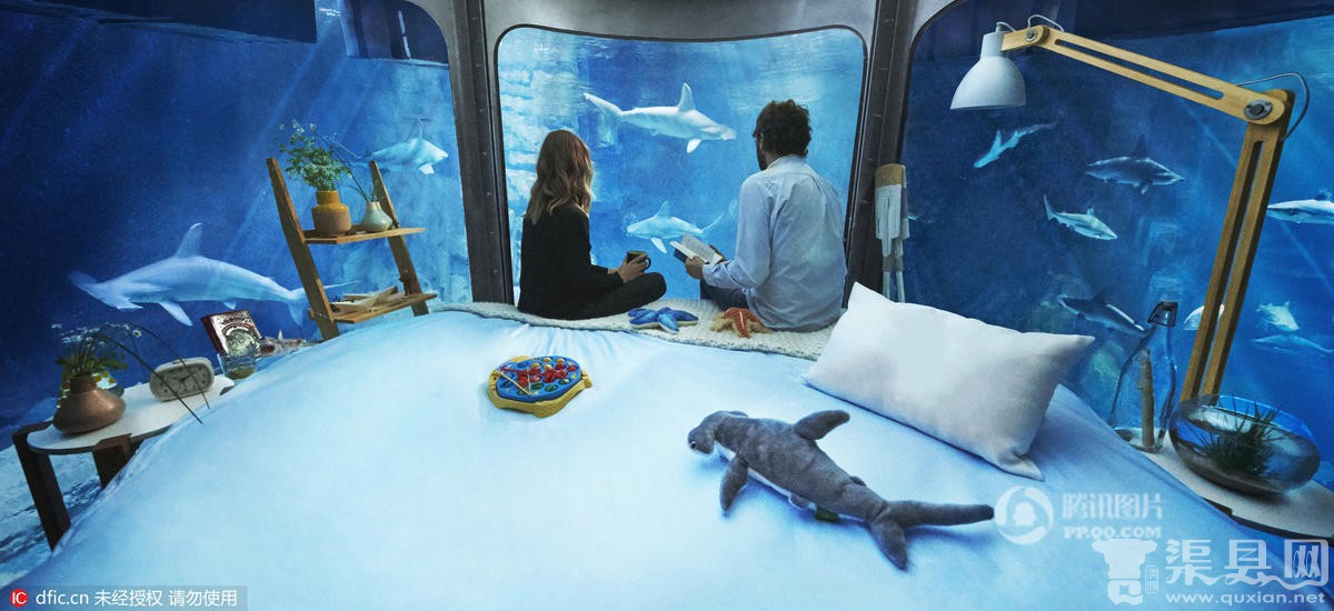 美国短租网站推水下住宿:可与鲨鱼“同床共枕”