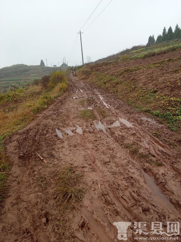 农村公路钱交了几年了，现在还是这样