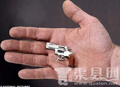 世界最小的手枪 瑞士迷你枪仅有5.5公分长