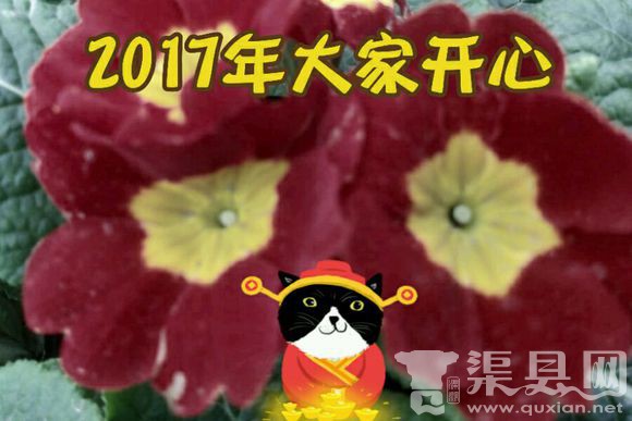 新年新气象