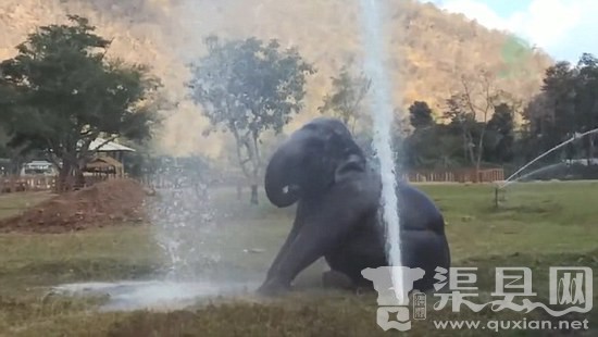 泰国大象破坏喷水设施造
