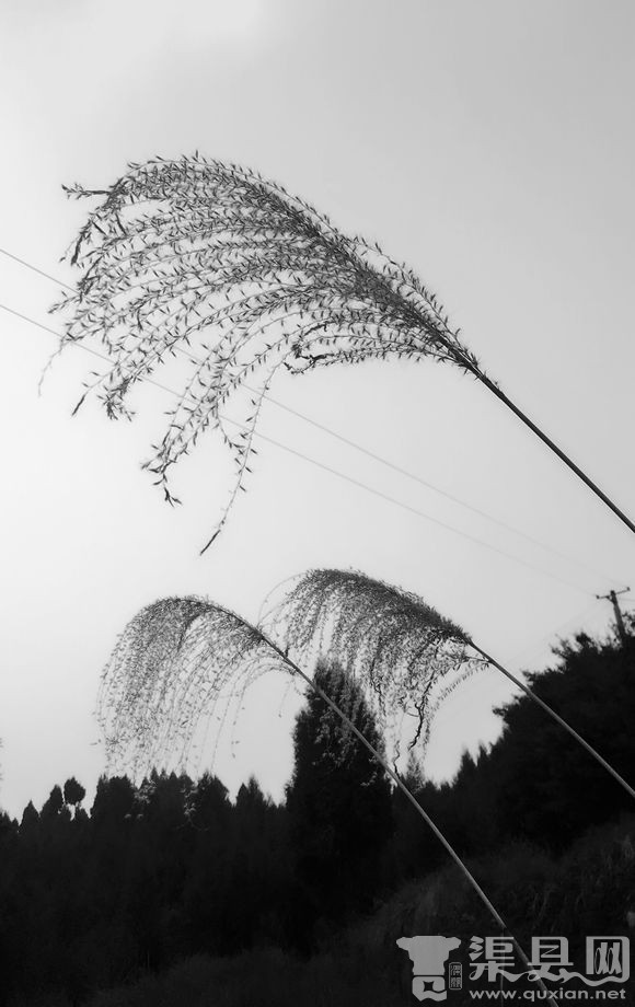 我知道你都知道《大神山》篇