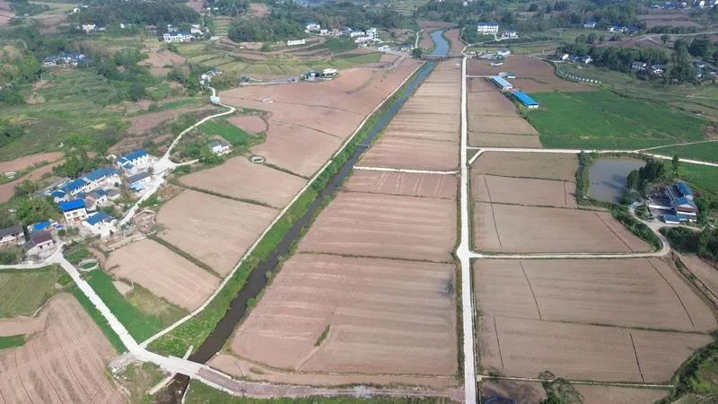 渠县：油菜种植正当时 农机农技助秋播