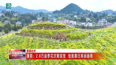 渠县：2.8万亩李花次第绽放 绘就春日美丽画卷