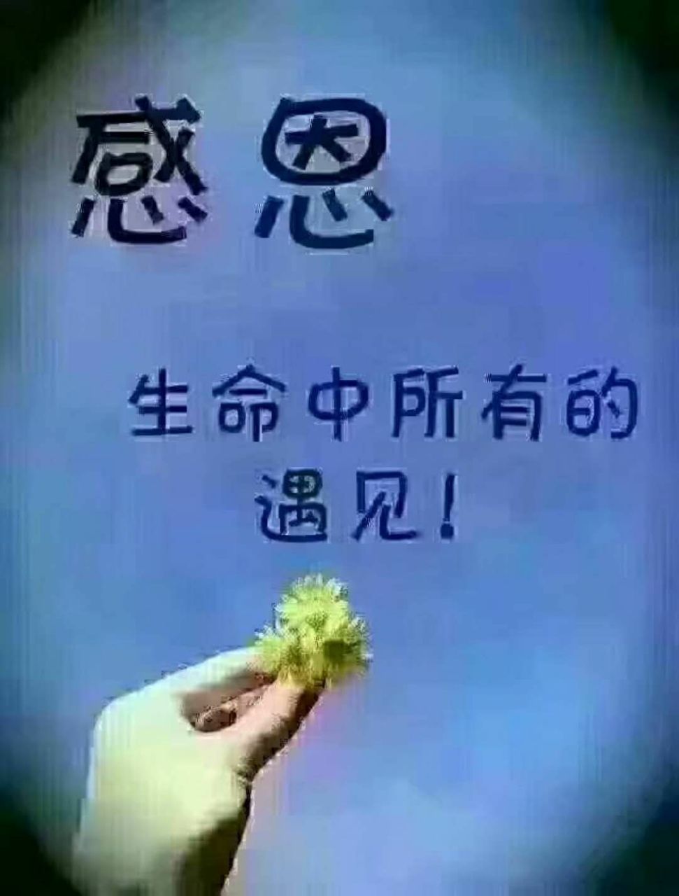 d284384b68bdfe50ff839dadc26d933b.jpg