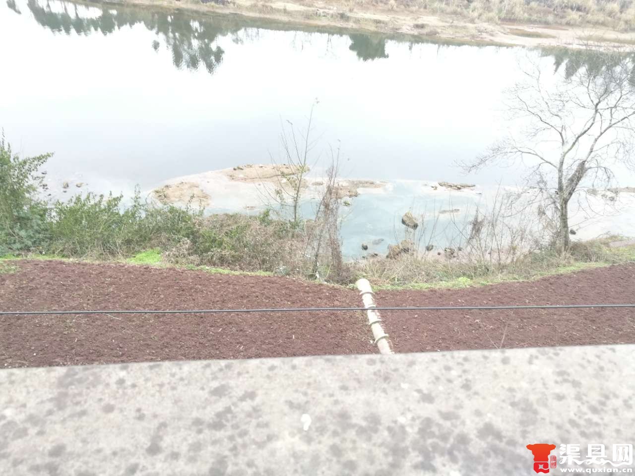 20180210_104788_1518269553813.jpg