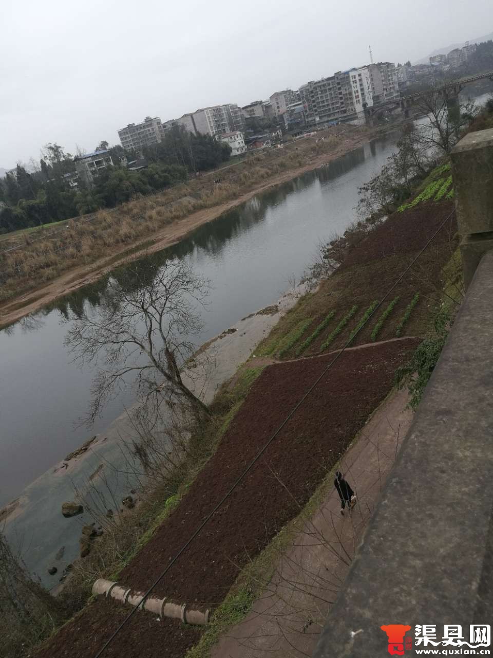 20180210_104788_1518269553302.jpg