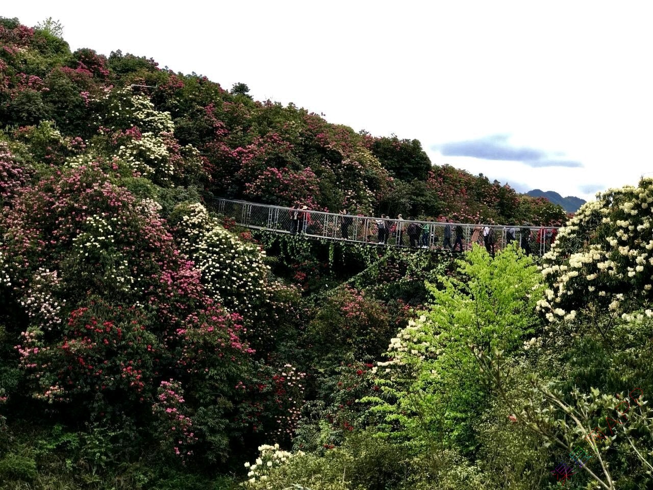 20190313_109020_1552479533232.jpg