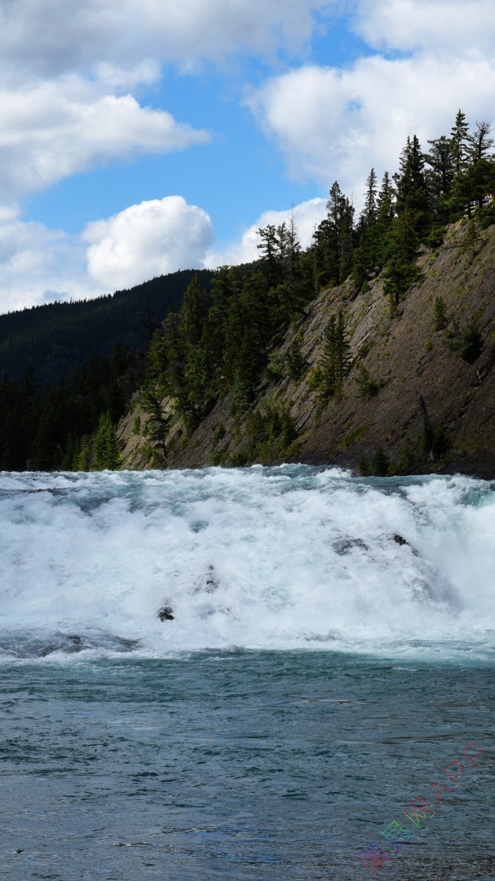 20190417_109020_1555470608806.jpg