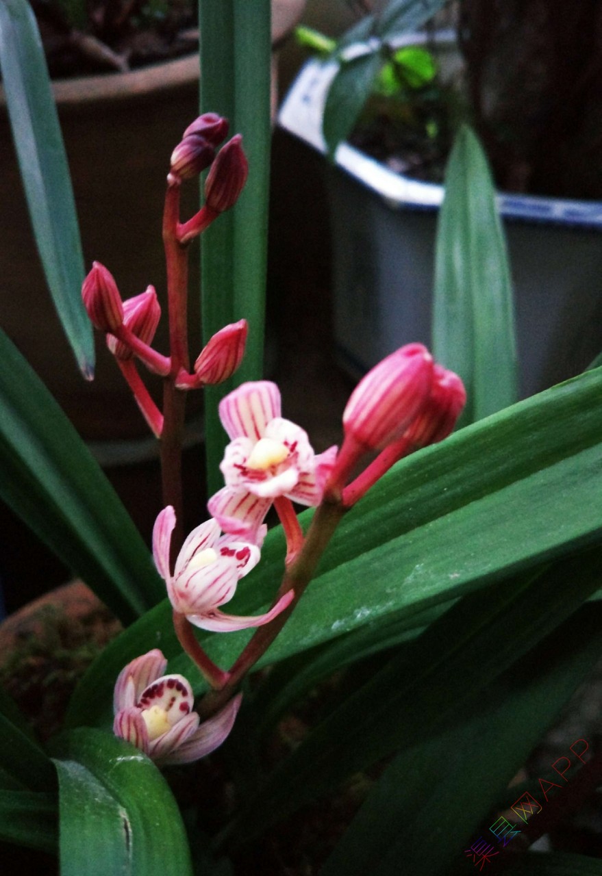 20190420_109020_1555746877261.jpg