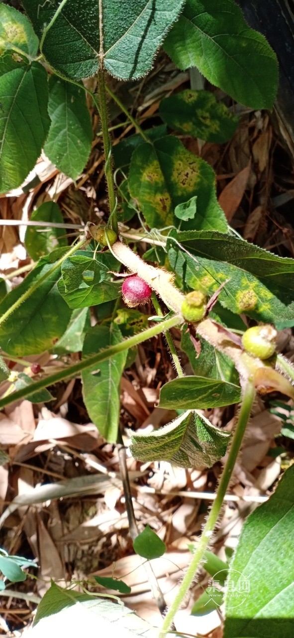 20190919_117198_1568867272556.jpg
