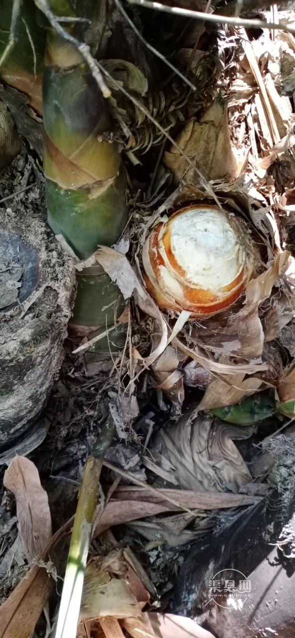 20190919_117198_1568867273223.jpg