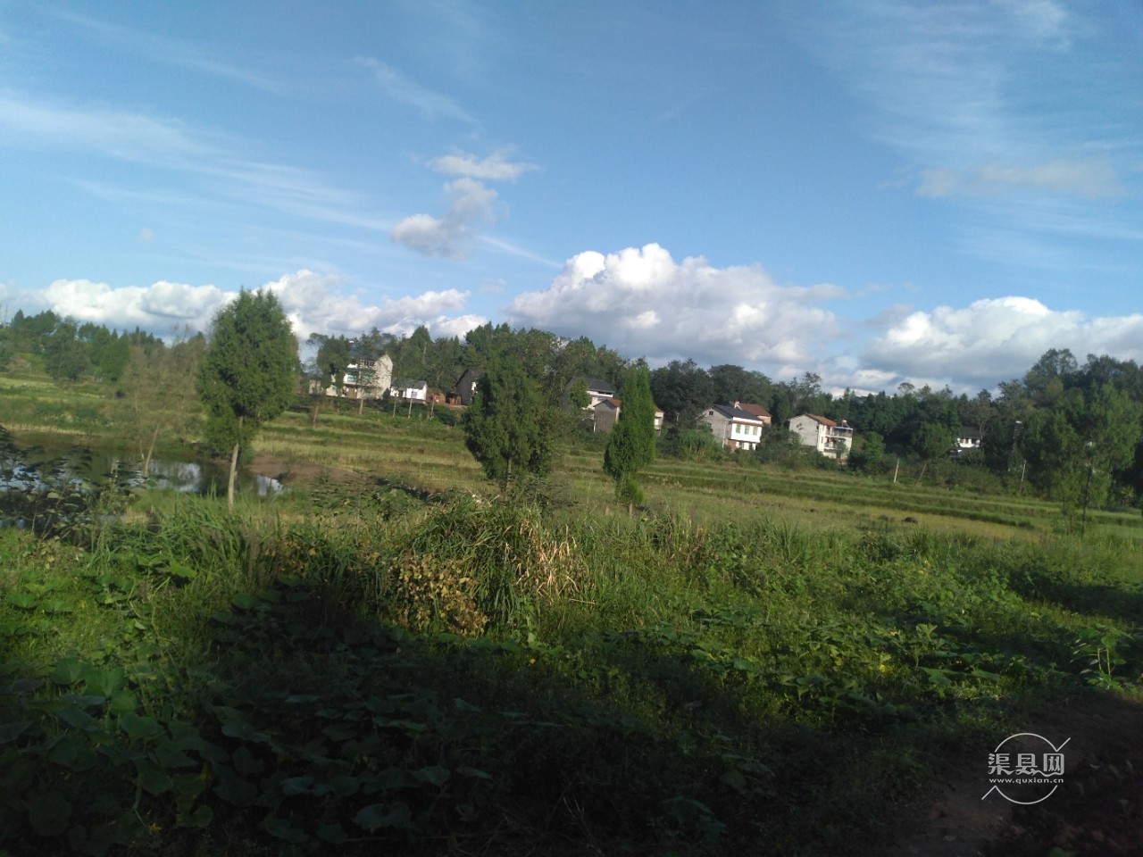 20191016_150510_1571233640679.jpg