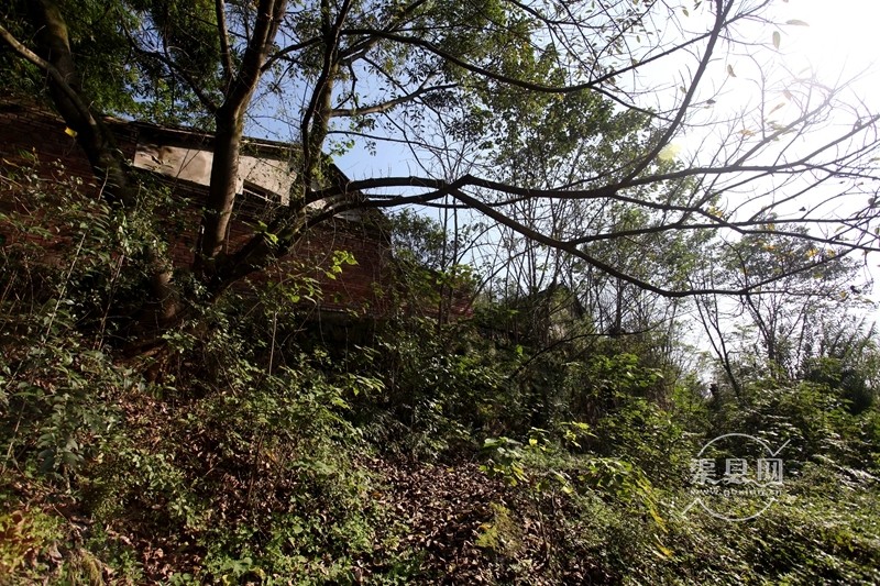 20191101_161501_1572562853888.jpg