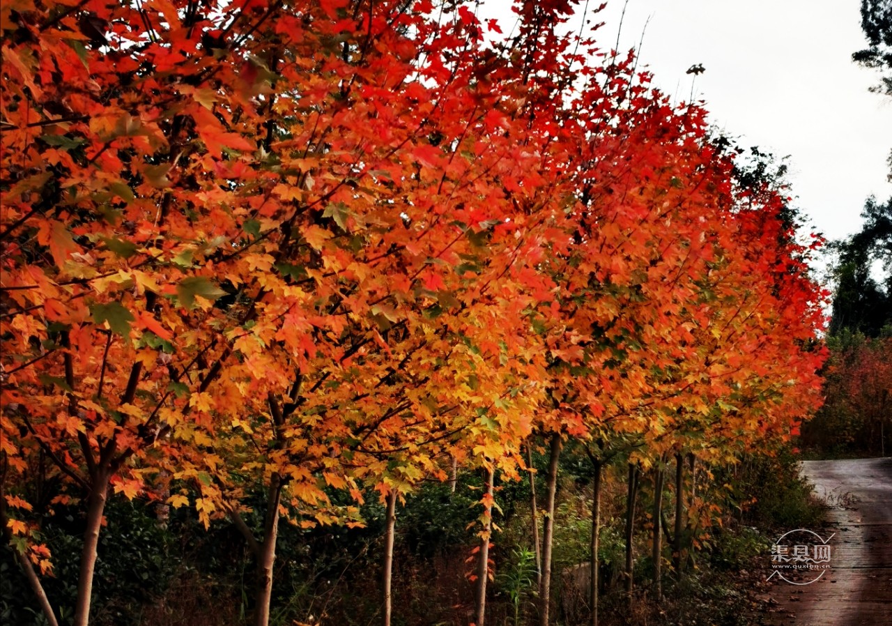 20191105_136779_1572918573739.jpg