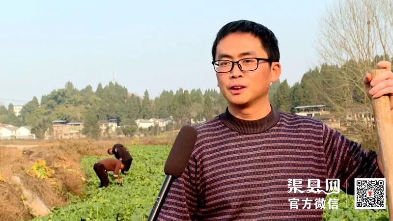 渠县：人勤春来早 春耕备耕忙