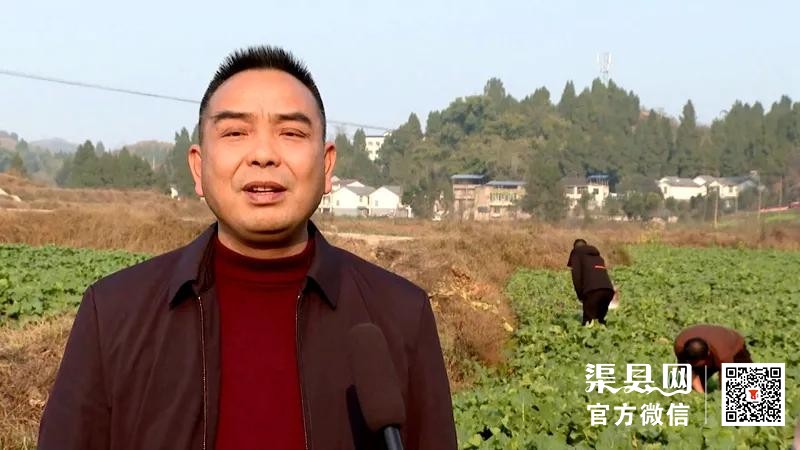 渠县：人勤春来早 春耕备耕忙