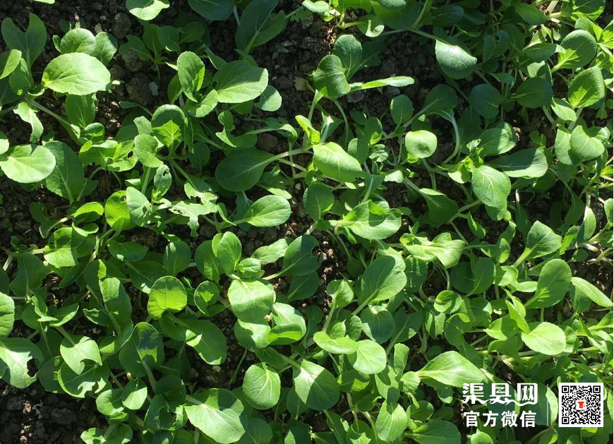微信截图_20210223102559.png