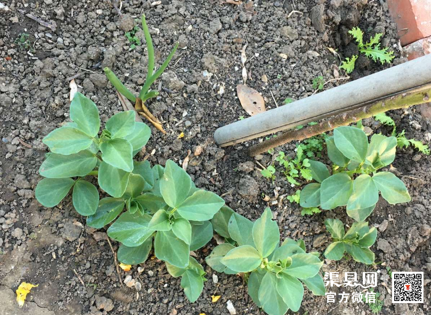 微信截图_20210223102626.png