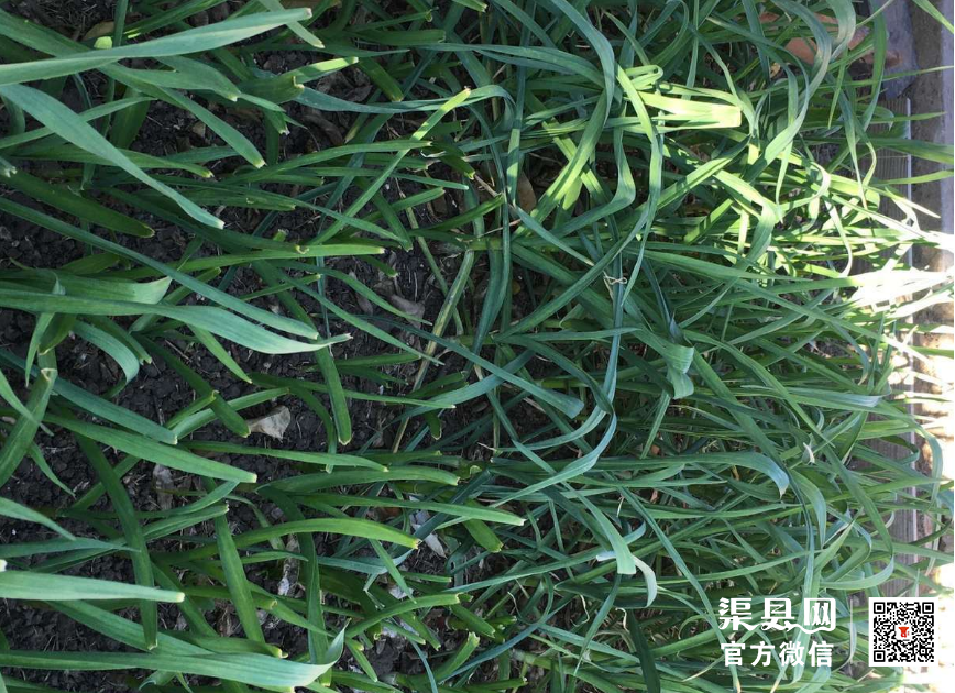 微信截图_20210223102614.png