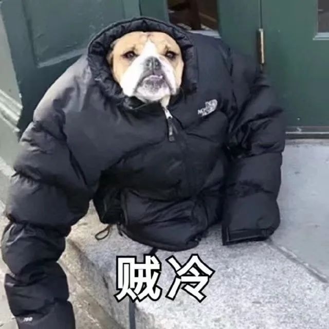 141908vdnhi45n500qni66.jpeg